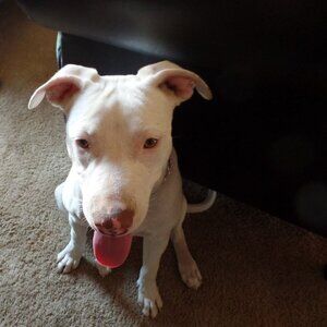 M. Snow@, Blue@ And Sky@